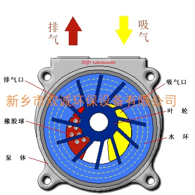 真空泵2.jpg